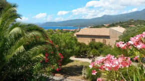 Appartement avec Terrasse Vue Mer